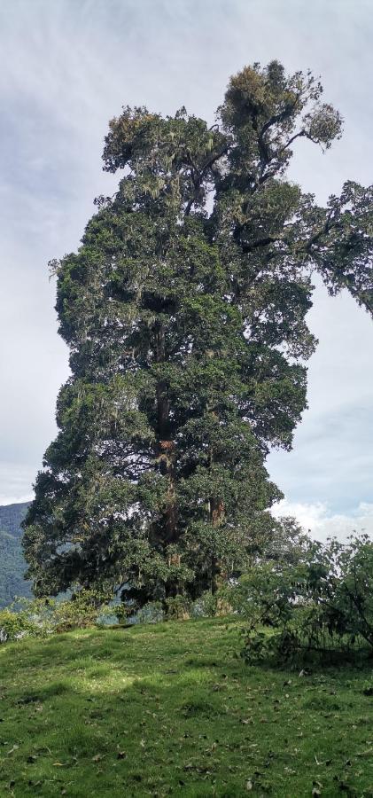فندق Glamping Jaulares Mountain Rivas المظهر الخارجي الصورة